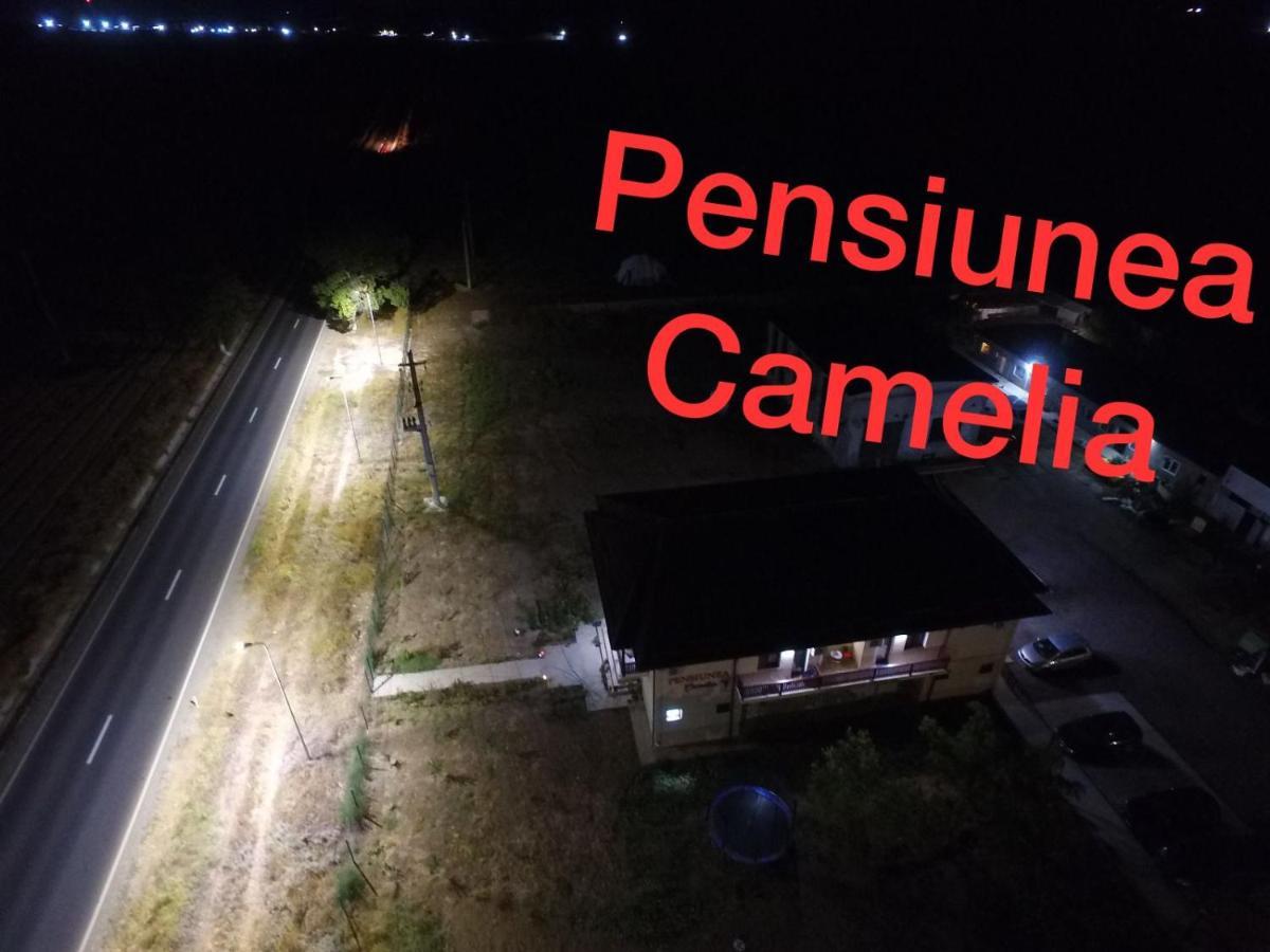 Pensiunea Camelia Baia Exterior foto